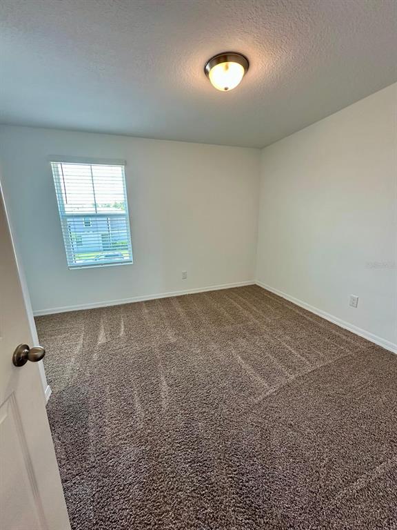 4501 Burrowing Owl Loop St. Cloud, FL 34772 - Photo 33 of 41
