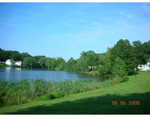 190 Lake Shore Road, Unit 1 Boston, MA 02135 - Photo 5 of 12 Gallery Image 5