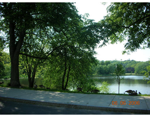 190 Lake Shore Road, Unit 1 Boston, MA 02135 - Photo 6 of 12 Gallery Image 6
