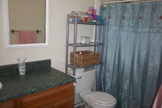 3900 Paradise Road Ruffin, SC 29475 - Photo 25 of 42 Hall Bathroom 1