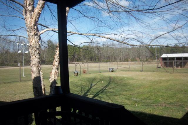 3900 Paradise Road Ruffin, SC 29475 - Photo 30 of 42 Back yard from back porch