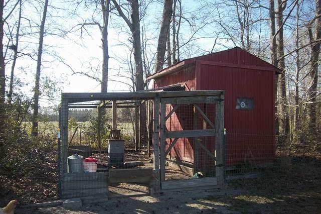 3900 Paradise Road Ruffin, SC 29475 - Photo 32 of 42 Chicken Coop