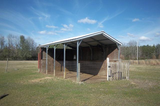 3900 Paradise Road Ruffin, SC 29475 - Photo 37 of 42 Stall View