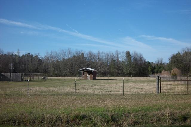 3900 Paradise Road Ruffin, SC 29475 - Photo 38 of 42 Side Pasture & Stall