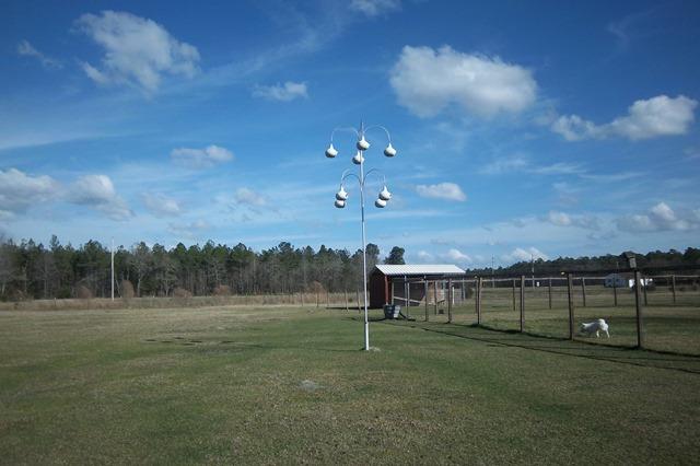 3900 Paradise Road Ruffin, SC 29475 - Photo 39 of 42 Side Pasture View