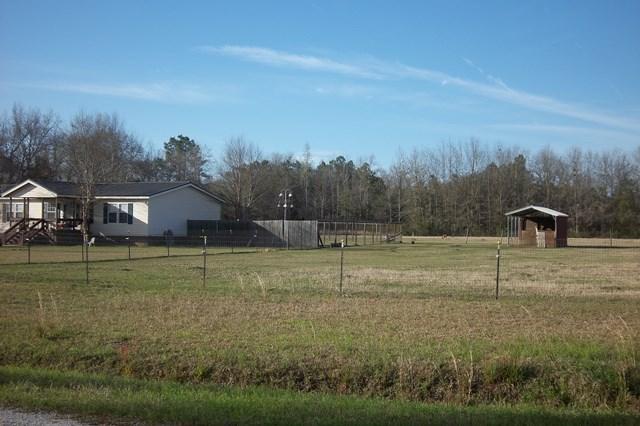 3900 Paradise Road Ruffin, SC 29475 - Photo 40 of 42 Side Pasture