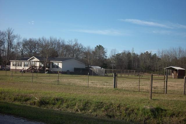 3900 Paradise Road Ruffin, SC 29475 - Photo 42 of 42 Front with Side Pasture