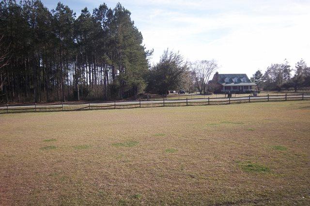 3900 Paradise Road Ruffin, SC 29475 - Photo 7 of 42 Front Yard