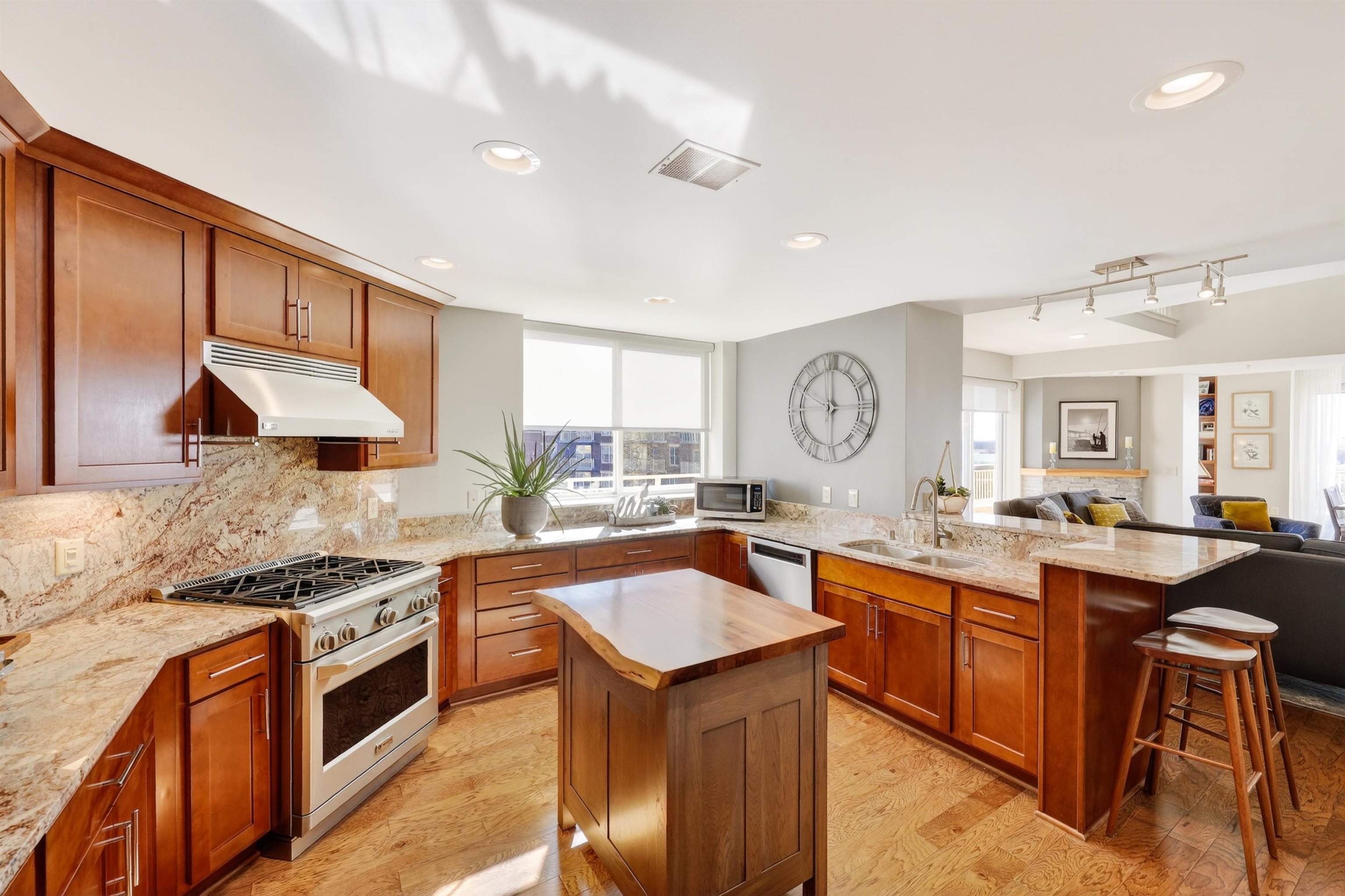 333 West Mifflin Street, Unit 1251 Madison, WI 53703 - Photo 3 of 57
