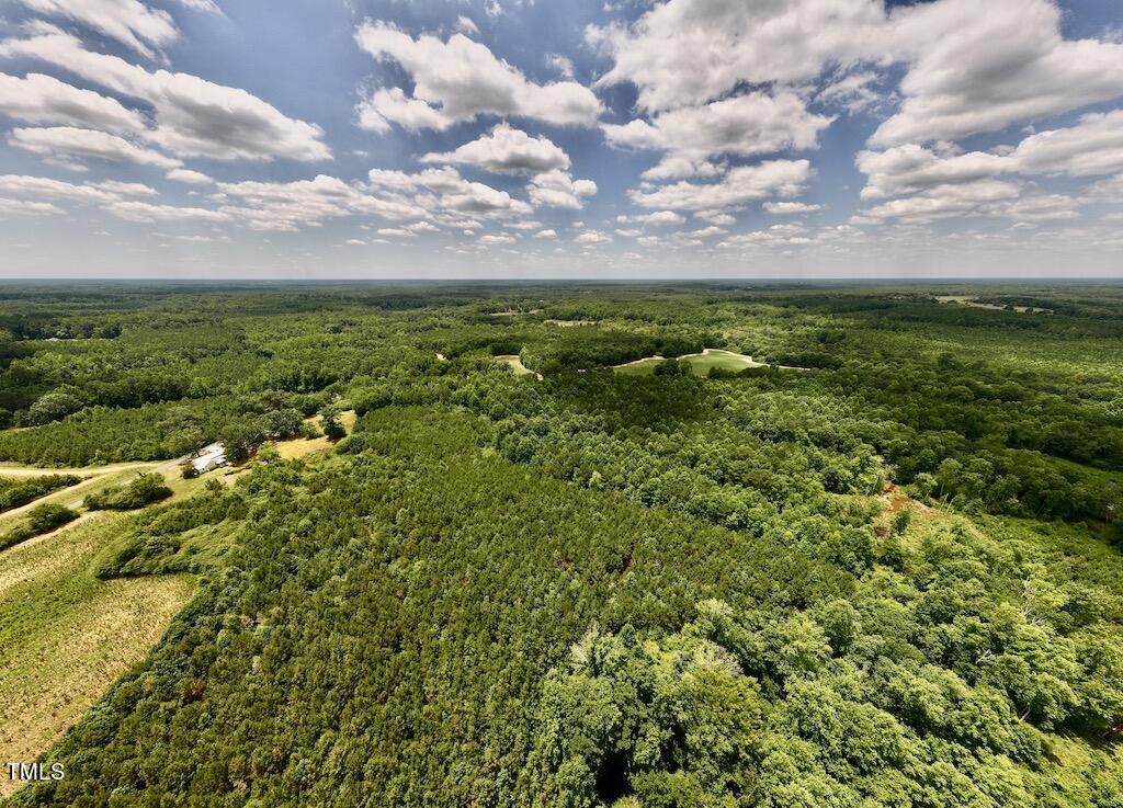 8 Peachtree Hills Road Spring Hope, NC 27882 - Photo 10 of 29 10