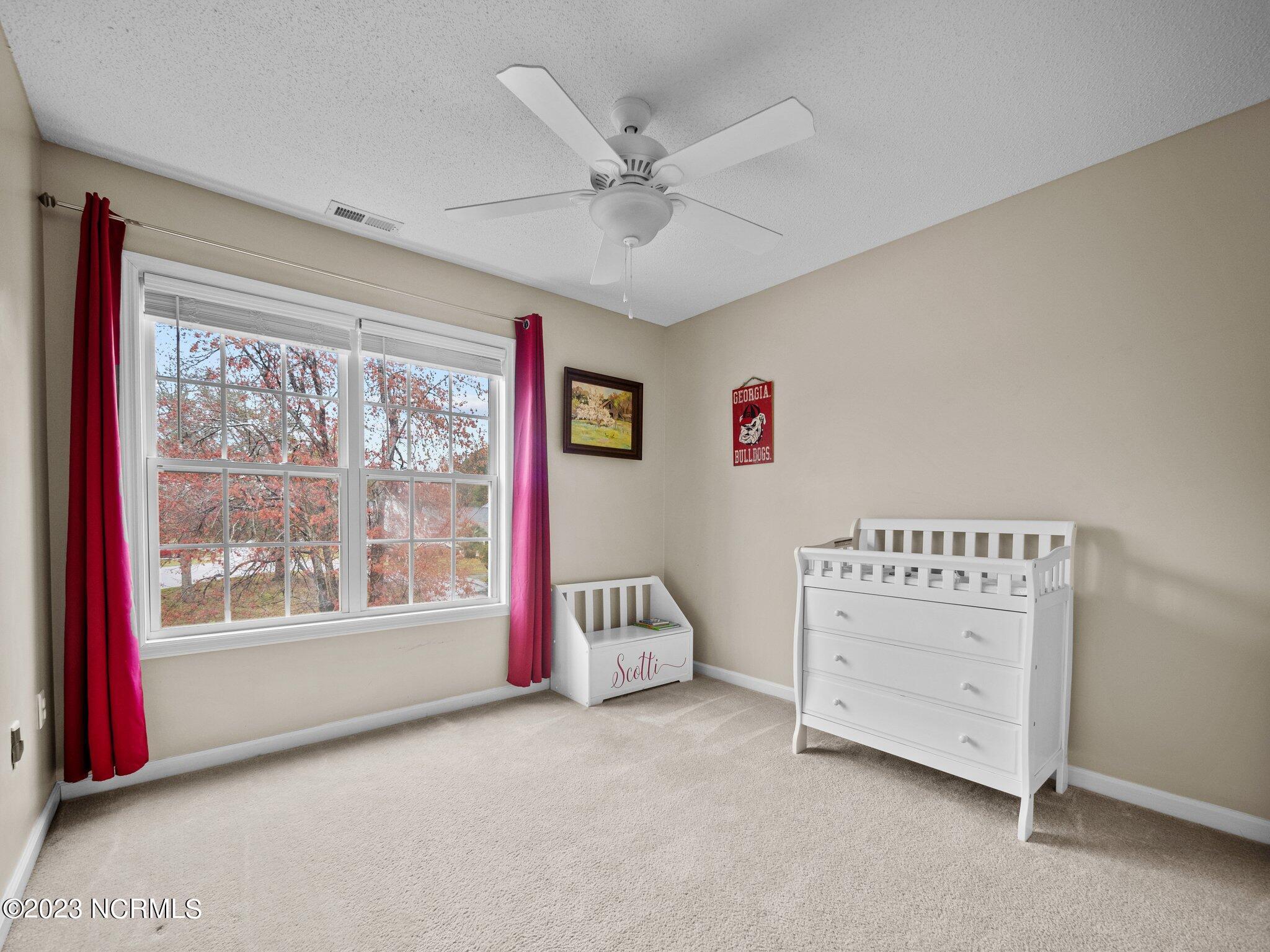 609 Riva Ridge Road Sneads Ferry, NC 28460 - Photo 29 of 32 32-web-or-mls-P3120154