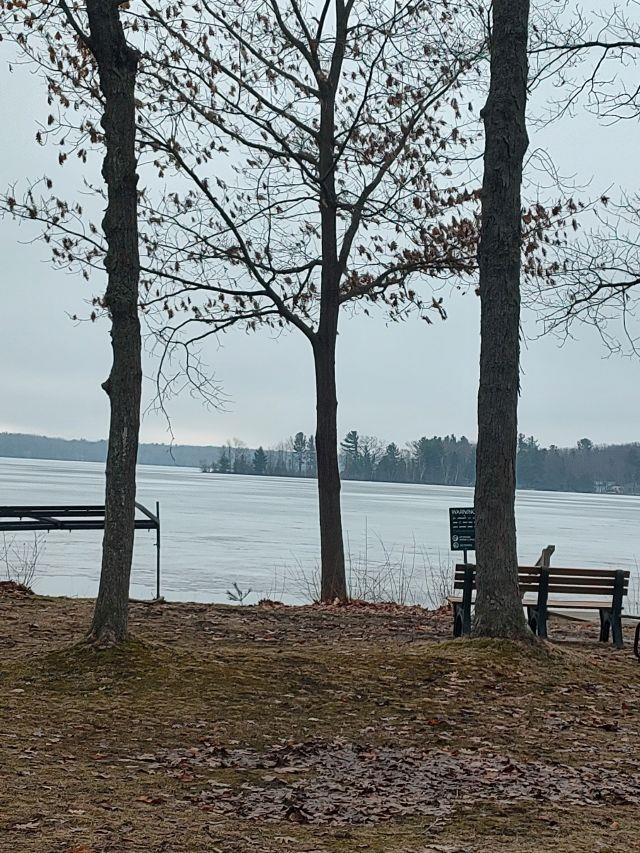 4150 Central Interlochen, MI 49643 - Photo 8 of 14