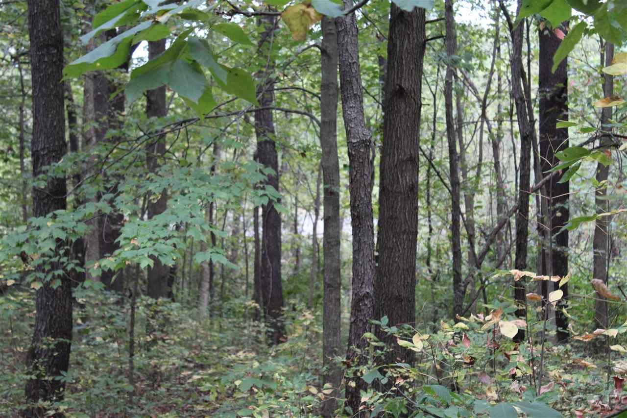 Cross Road Horton, MI 49246 - Photo 4 of 15