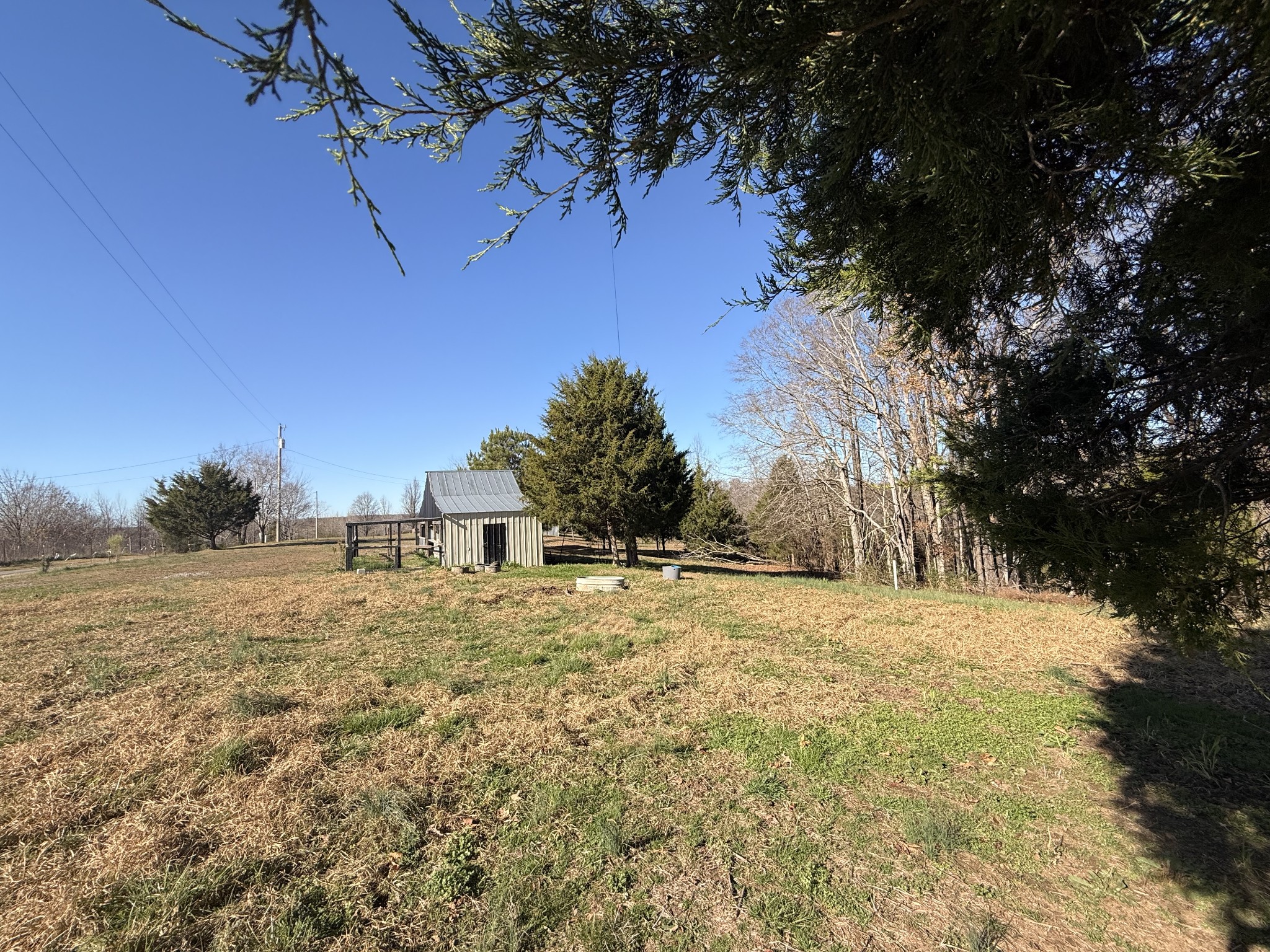 0 State Line Road Loretto, TN 38469 - Photo 12 of 14 a big yard with large trees