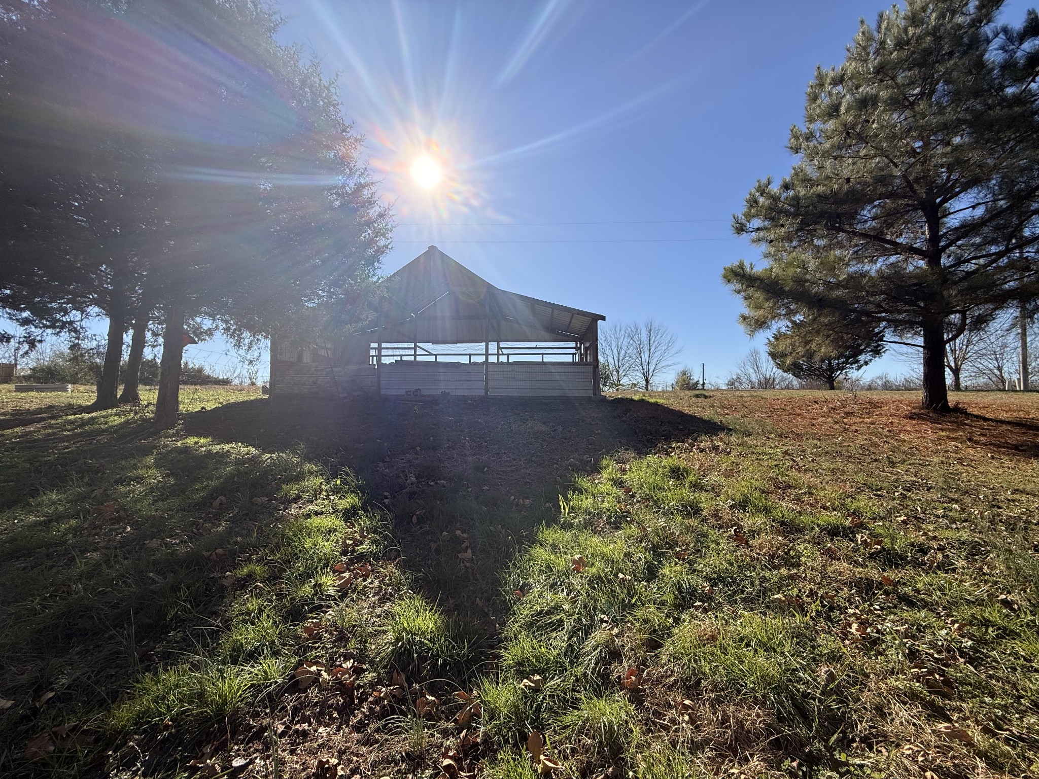 0 State Line Road Loretto, TN 38469 - Photo 9 of 14 a view of road and yard