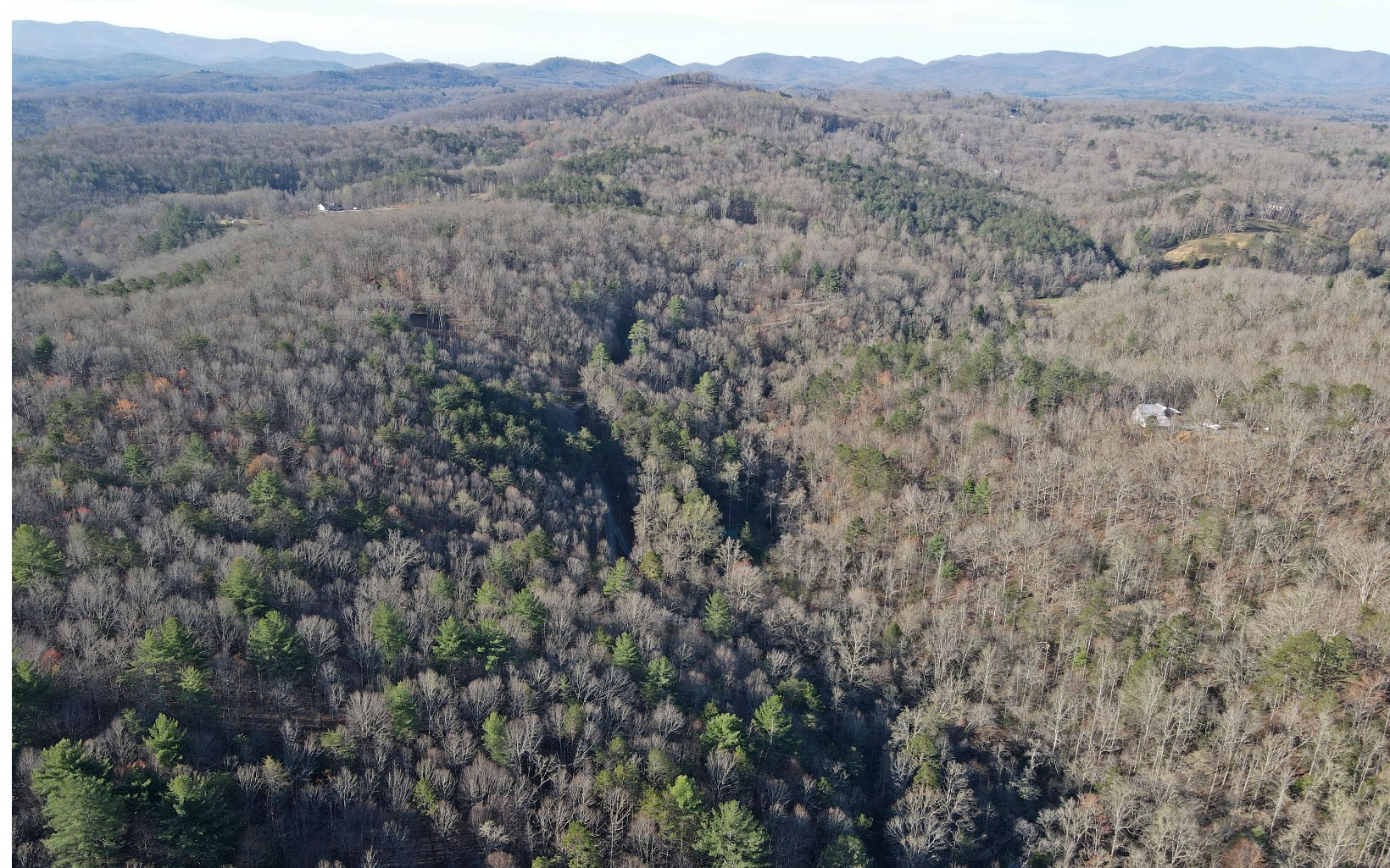 15 Timber Lake Road Blue Ridge, GA 30513 - Photo 9 of 16 Additional View