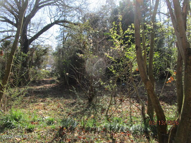 112 Baxter Grove Road Moyock, NC 27958 - Photo 12 of 24 yard