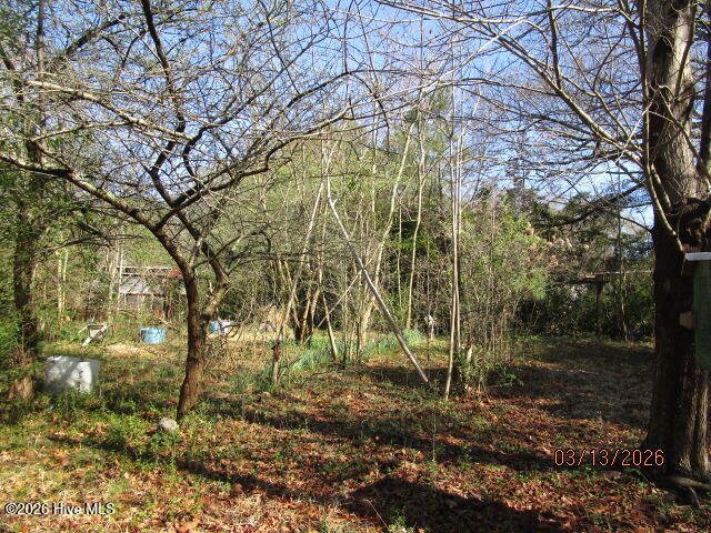 112 Baxter Grove Road Moyock, NC 27958 - Photo 17 of 24 yard