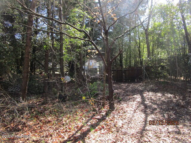 112 Baxter Grove Road Moyock, NC 27958 - Photo 18 of 24 yard