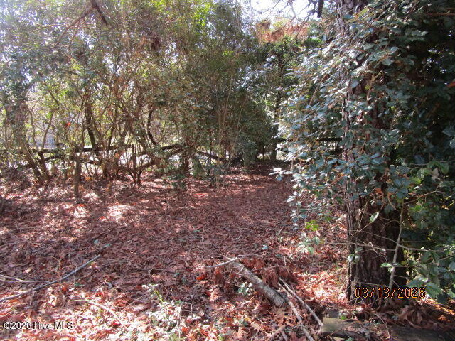 112 Baxter Grove Road Moyock, NC 27958 - Photo 19 of 24 front yard
