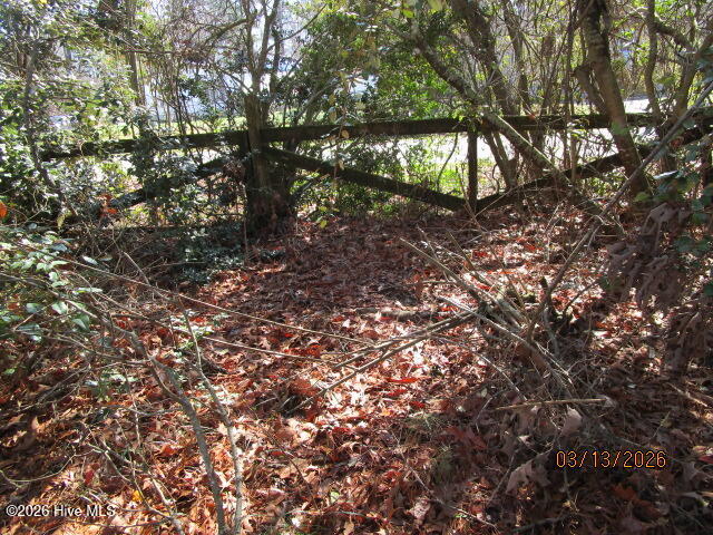 112 Baxter Grove Road Moyock, NC 27958 - Photo 20 of 24 front yard