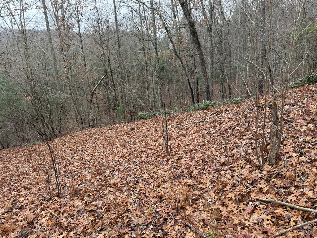 101 Flaming Ridge Hayesville, NC 28904 - Photo 5 of 7 a view of a yard with wooden fence