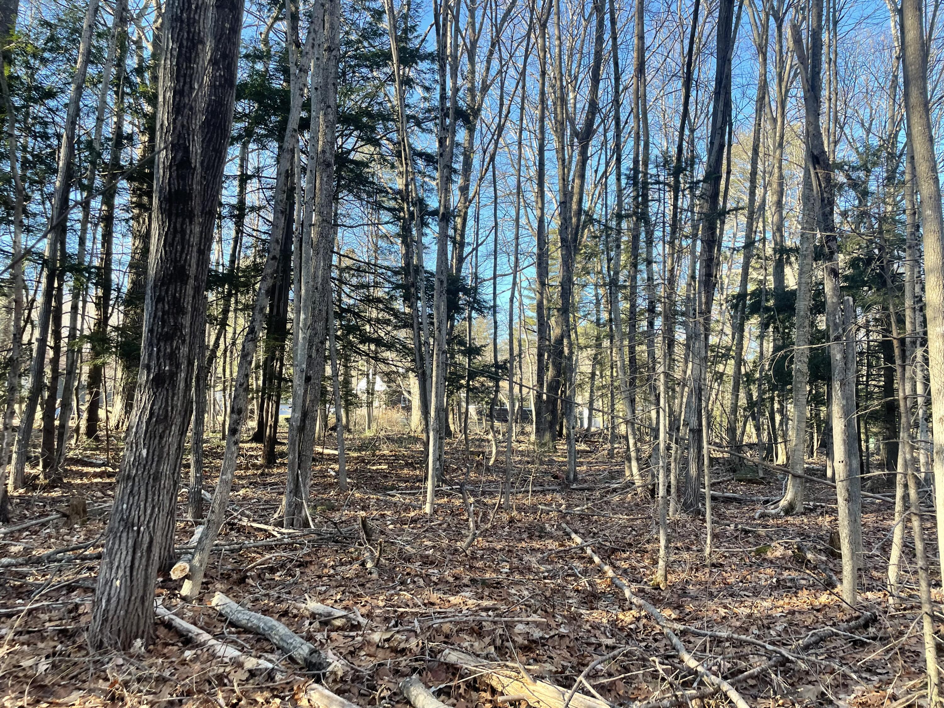 0 Cross Street Manchester, ME 04351 - Photo 33 of 54 IMG_2297