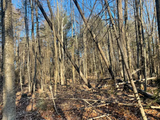 $265,000 | 0 Cross Street, Manchester, ME 04351