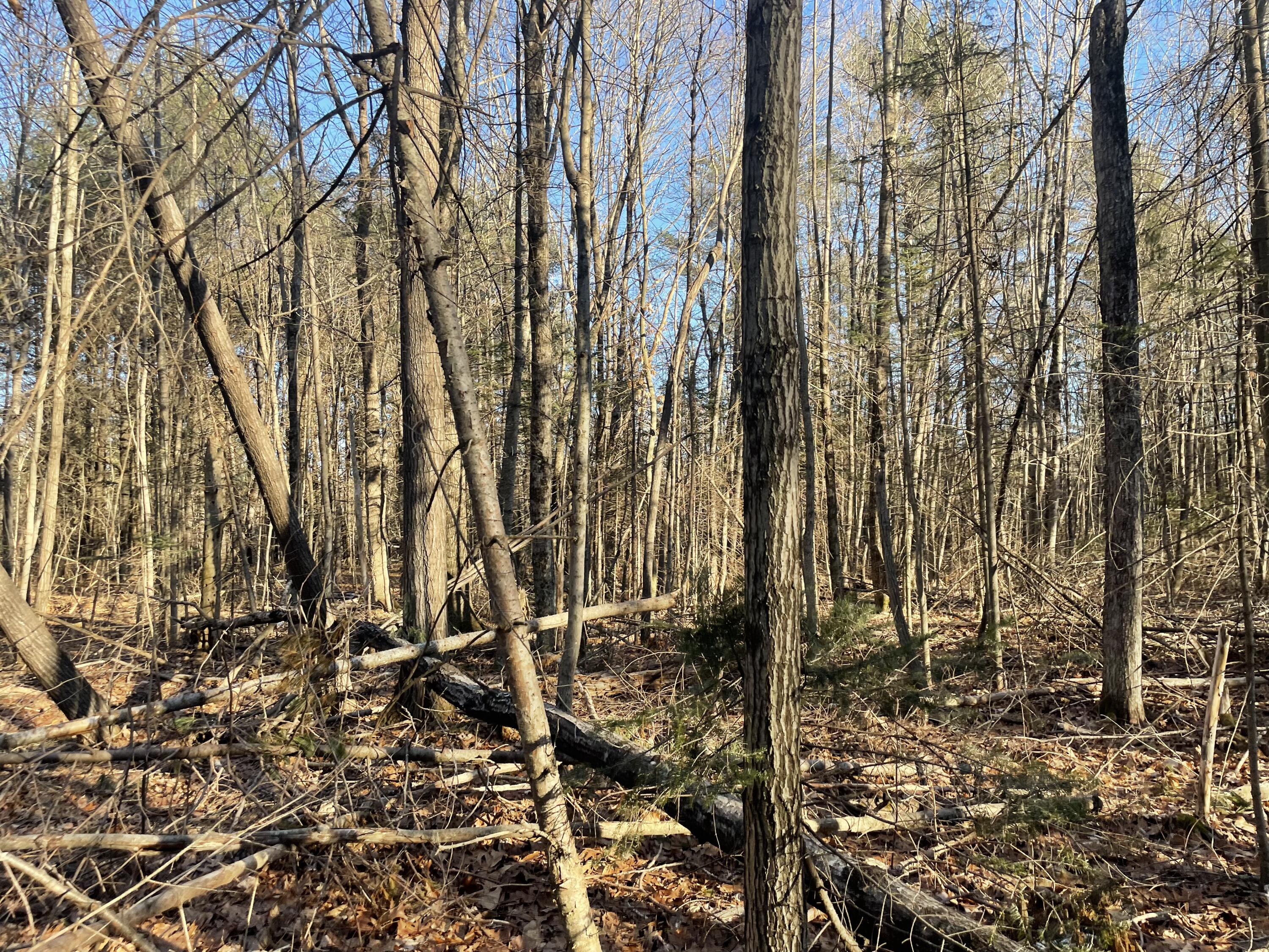 0 Cross Street Manchester, ME 04351 - Photo 35 of 54 IMG_2299