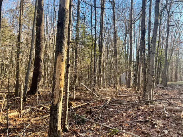 $265,000 | 0 Cross Street, Manchester, ME 04351