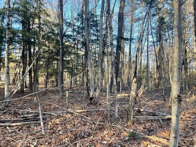 $265,000 | 0 Cross Street, Manchester, ME 04351