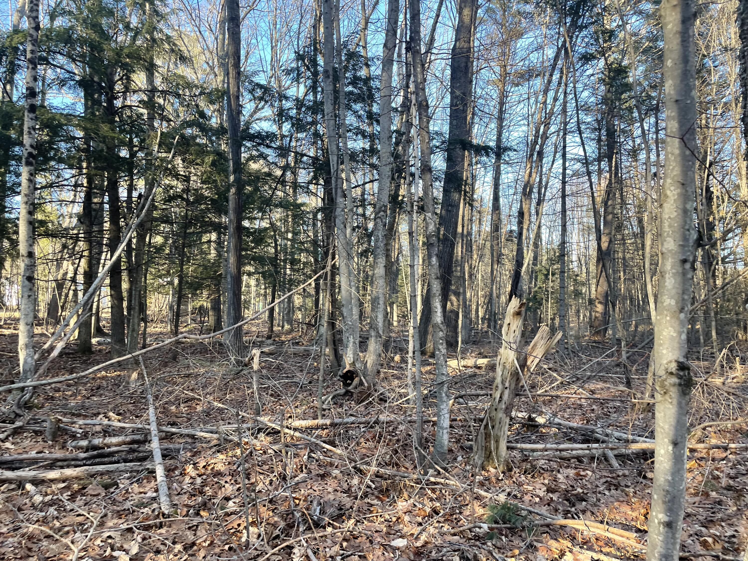 0 Cross Street Manchester, ME 04351 - Photo 38 of 54 IMG_2303