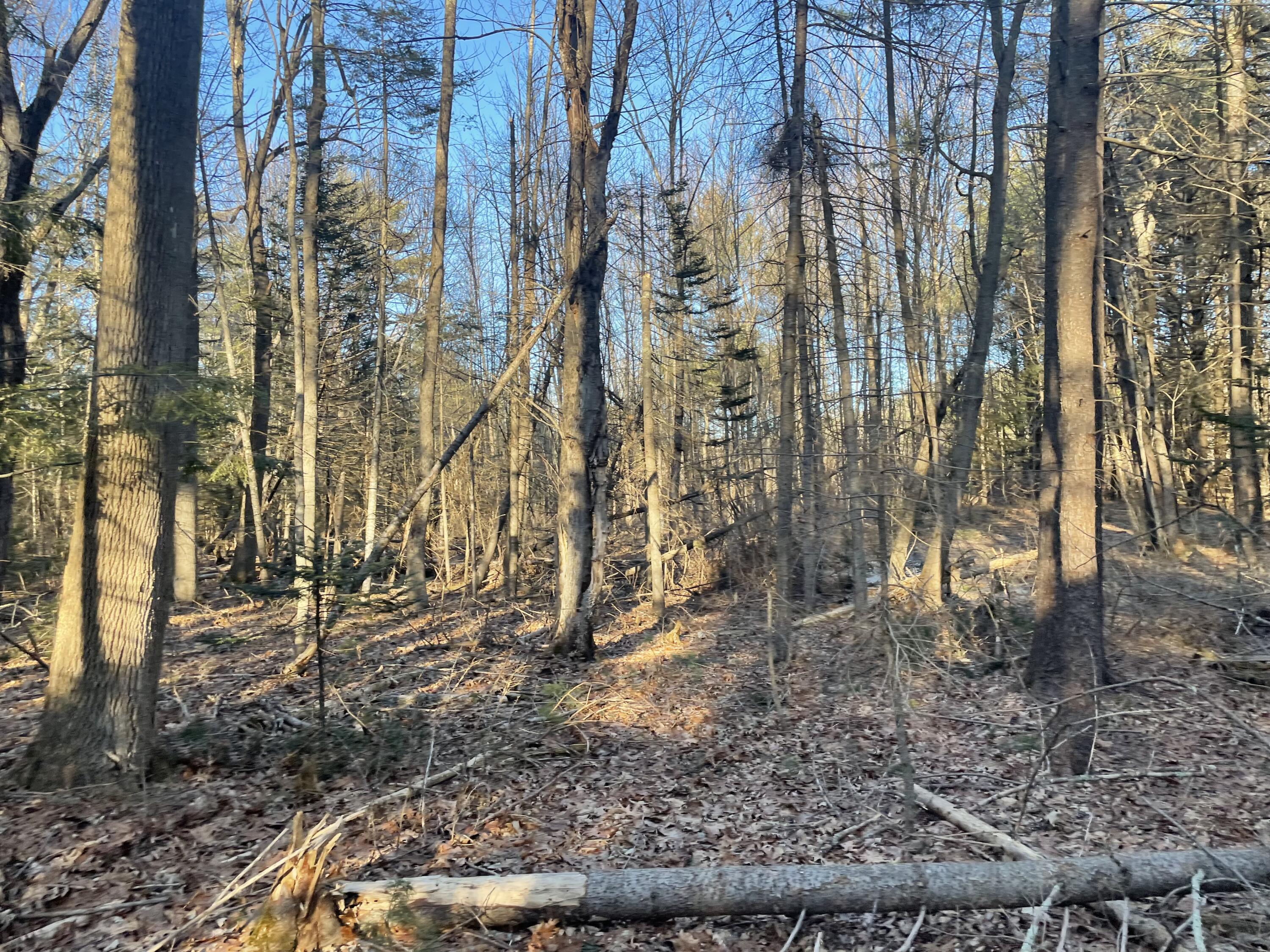 0 Cross Street Manchester, ME 04351 - Photo 39 of 54 IMG_2313