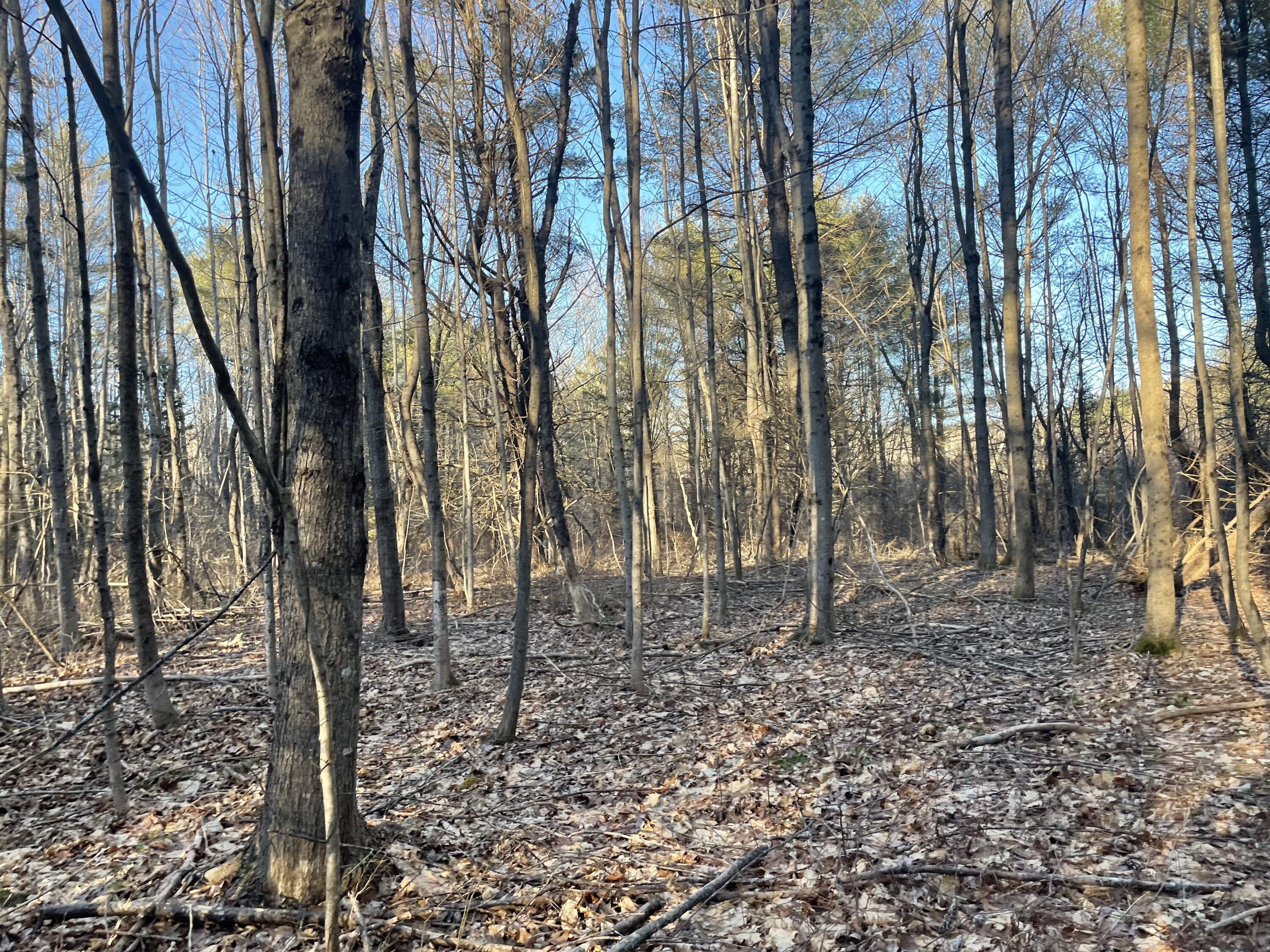 0 Cross Street Manchester, ME 04351 - Photo 44 of 54 IMG_2328