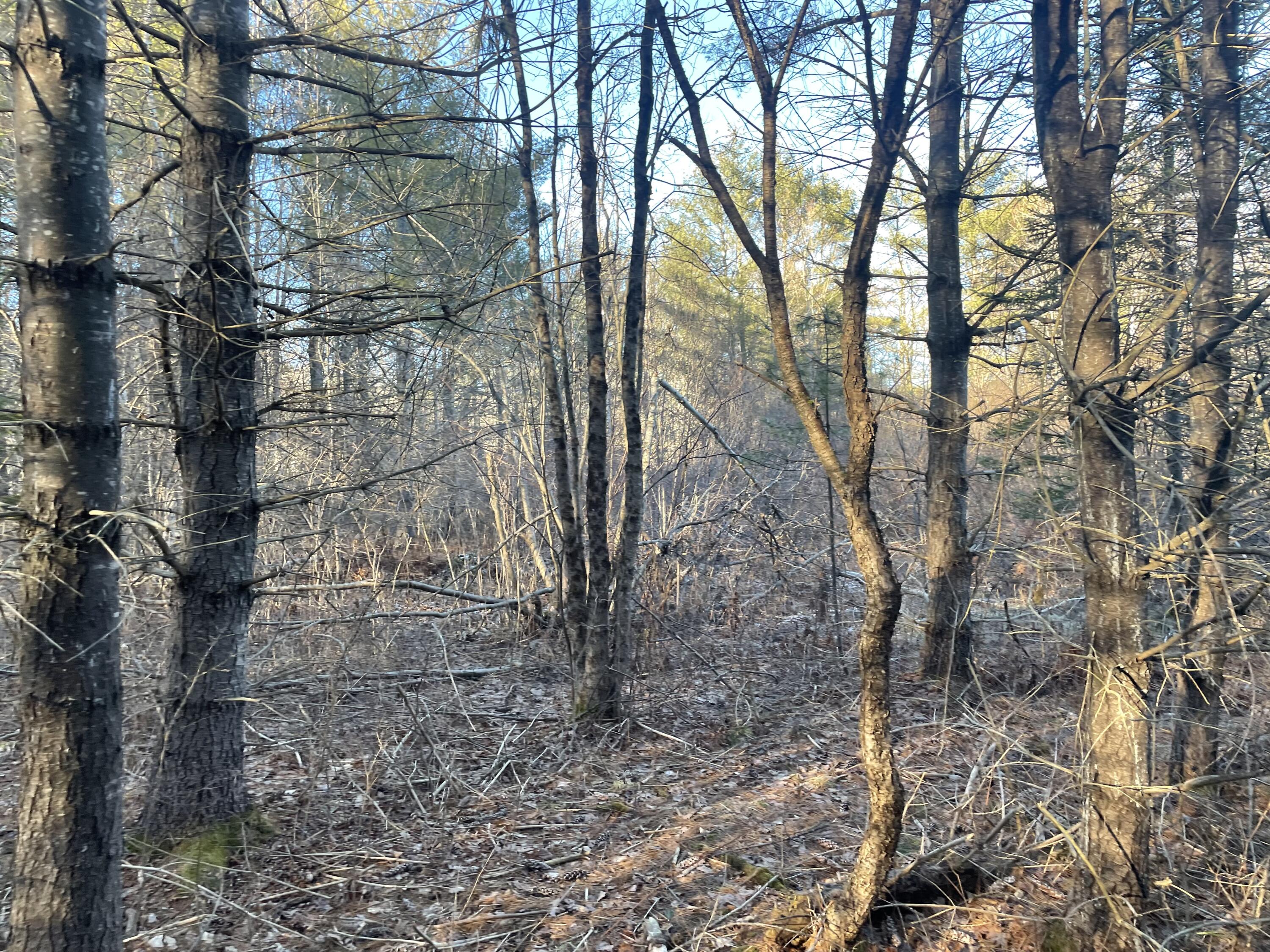 0 Cross Street Manchester, ME 04351 - Photo 46 of 54 IMG_2345