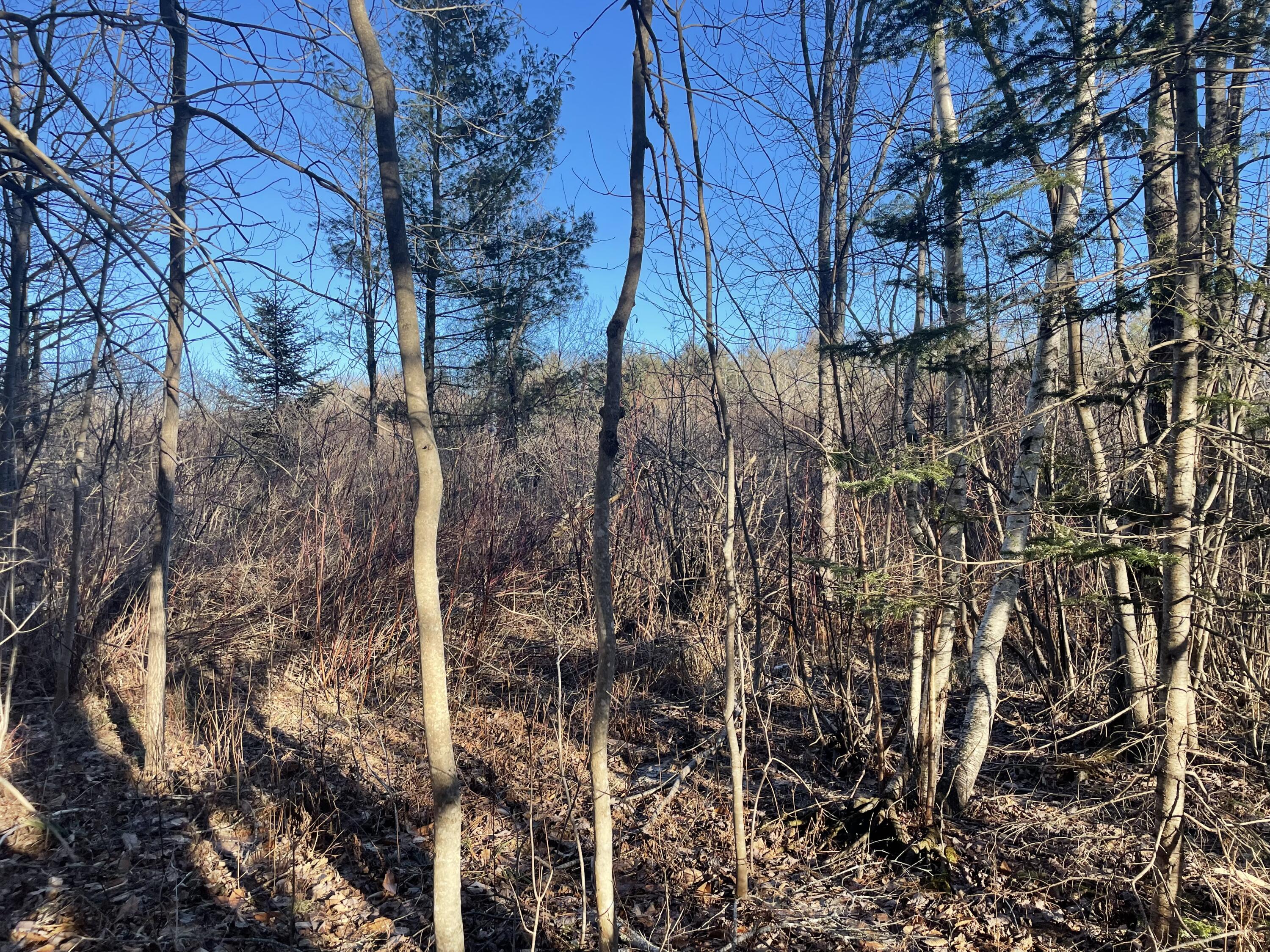 0 Cross Street Manchester, ME 04351 - Photo 47 of 54 IMG_2368