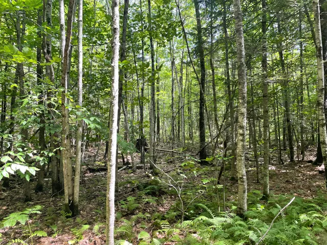 $265,000 | 0 Cross Street, Manchester, ME 04351