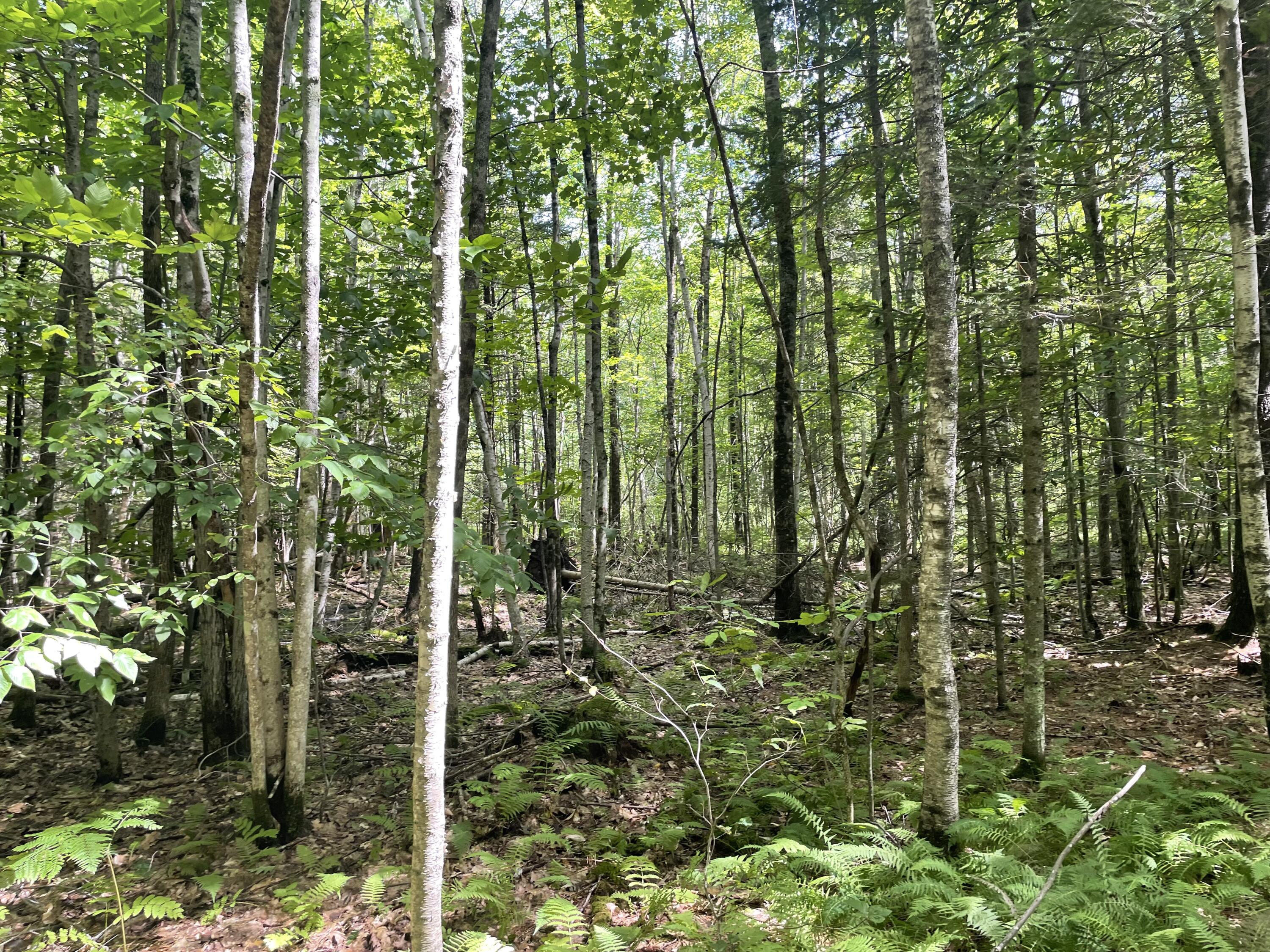 0 Cross Street Manchester, ME 04351 - Photo 48 of 54 IMG_9416