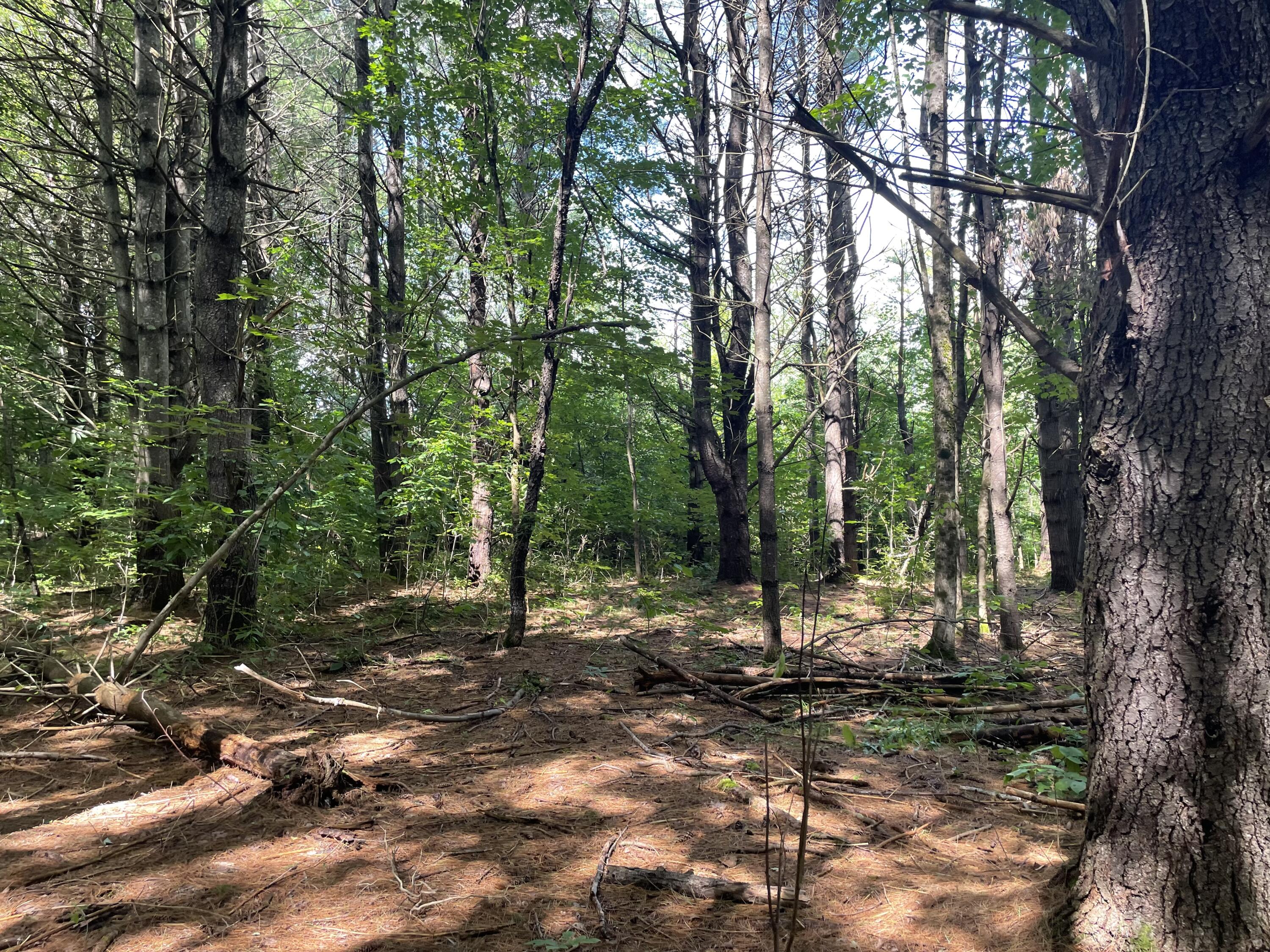 0 Cross Street Manchester, ME 04351 - Photo 50 of 54 IMG_9479