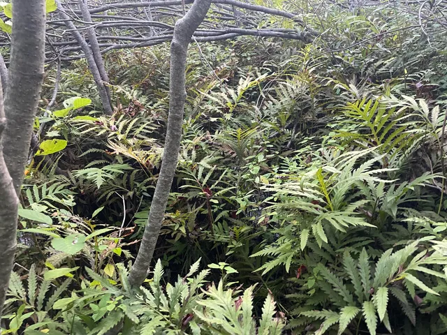 $265,000 | 0 Cross Street, Manchester, ME 04351