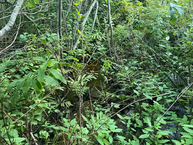 $265,000 | 0 Cross Street, Manchester, ME 04351