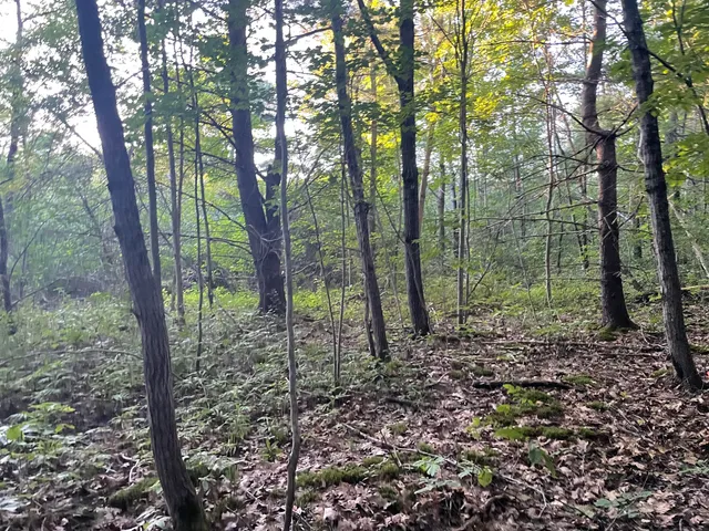 $265,000 | 0 Cross Street, Manchester, ME 04351