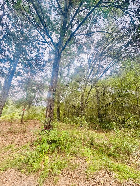 2203 Adams Street West Inverness, FL 34453 - Photo 3 of 10