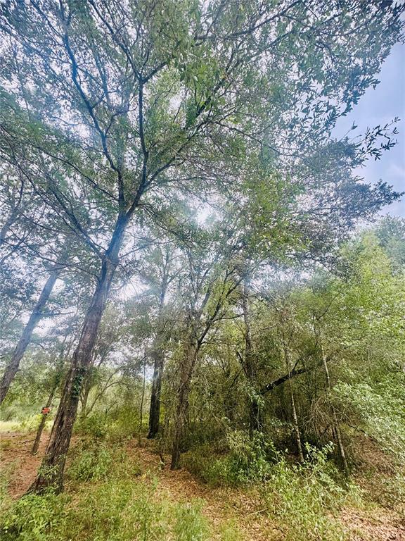 2203 Adams Street West Inverness, FL 34453 - Photo 5 of 10