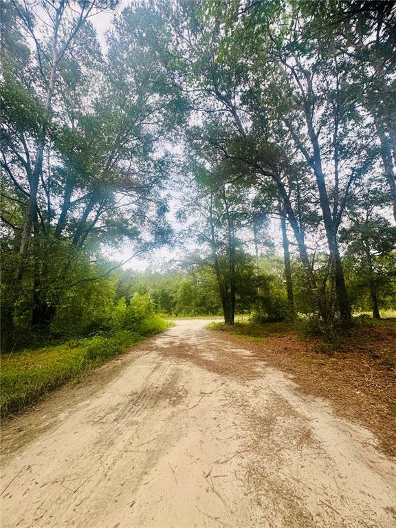 2203 Adams Street West Inverness, FL 34453 - Photo 7 of 10