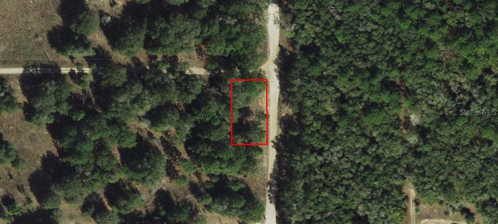 2203 Adams Street West Inverness, FL 34453 - Photo 9 of 10