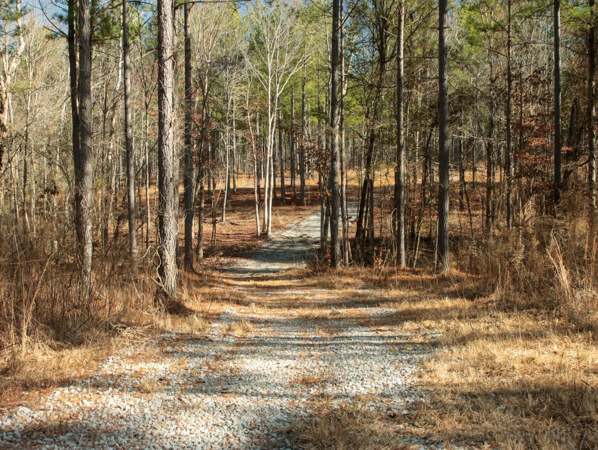 2618 Charles Road Decatur, TN 37322 - Photo 11 of 29 Gallery Image 11