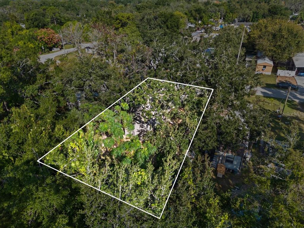 9404 Loras Street New Port Richey, FL 34654 - Photo 25 of 25