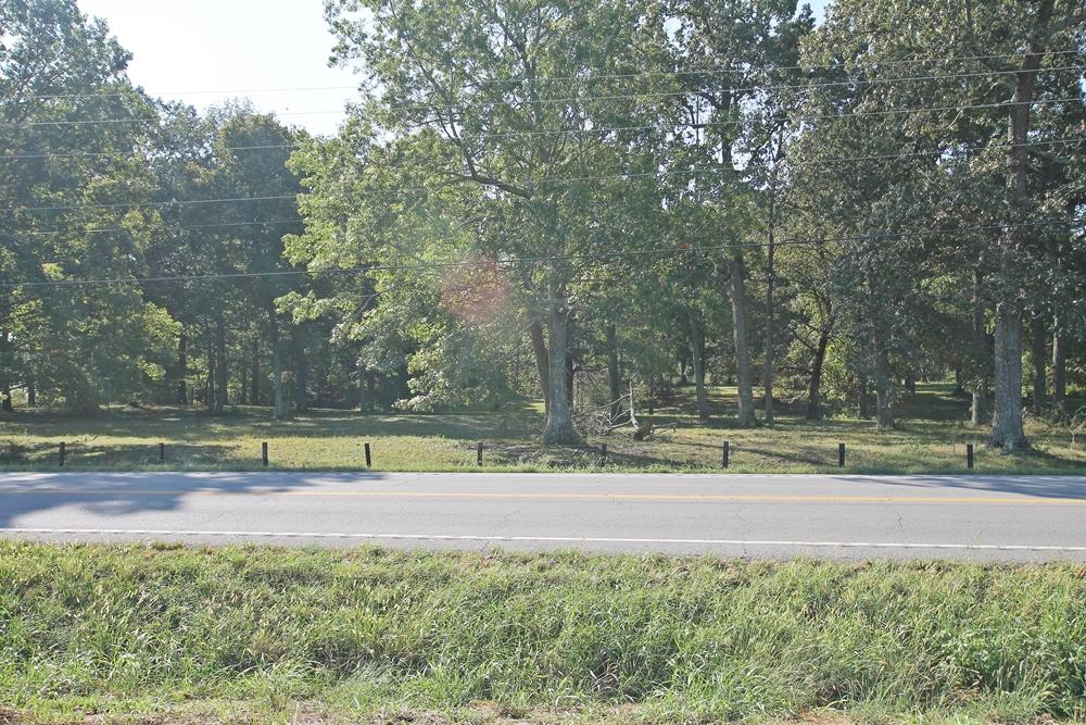 6072 Highway 25 Springfield, TN 37172 - Photo 2 of 5