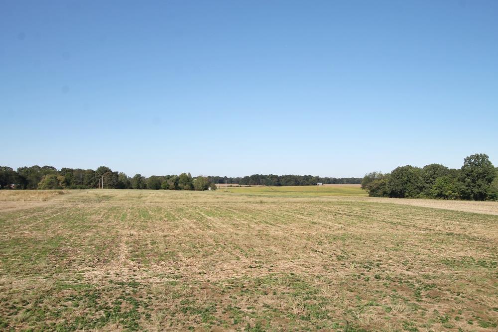 6072 Highway 25 Springfield, TN 37172 - Photo 5 of 5 a view of an ocean from a mountain